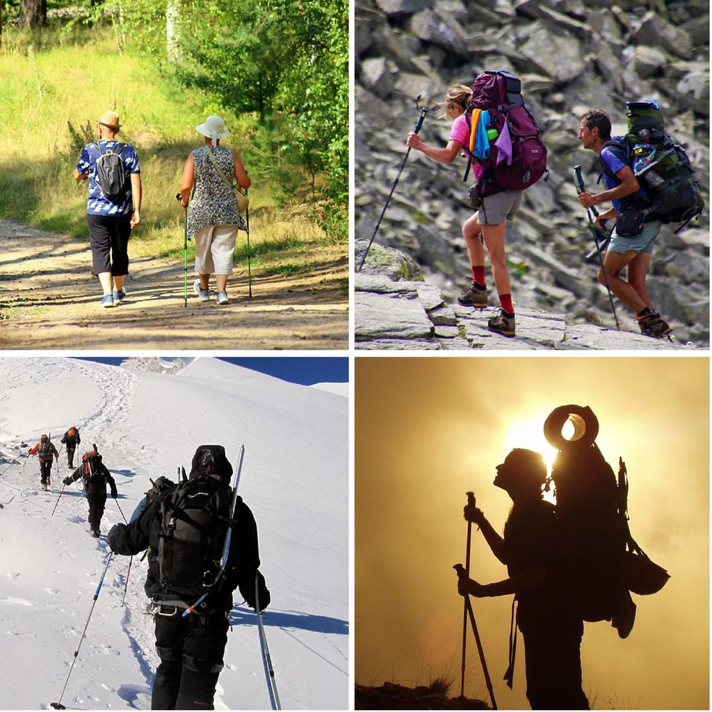 Azarxis Треккинг Треккинг Альпинизм Для Трейла Горная Ходьба Сумка для хранения 1 шт. Набор Палка, Складная, Легкая, Палка, Палка, 110 см, 120 см, 130 см,