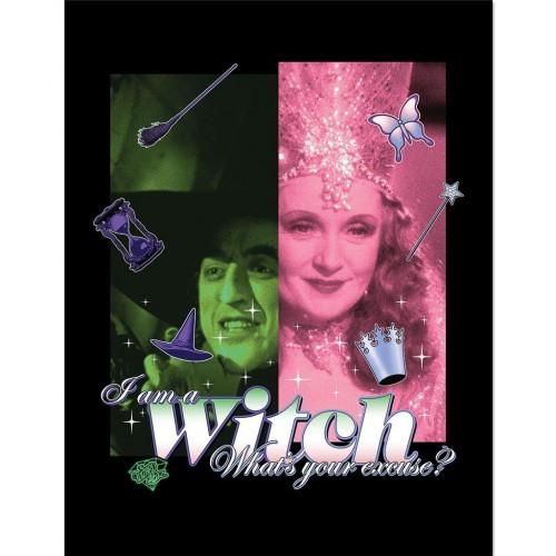 The Wizard Of Oz I Am A Witch Framed Poster