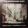 7-дюймовая пластинка BOOMTOWN RATS - Someone's Looking At You ENY34 Ensign 1980 Великобритания Рок Б/У