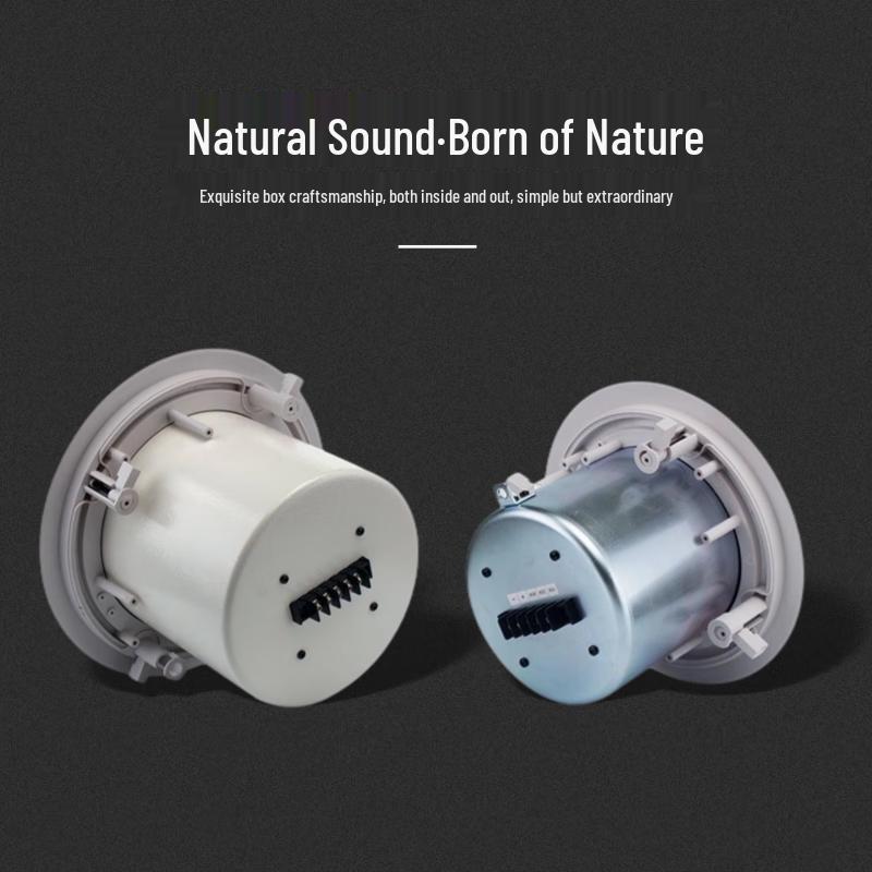 JZQS-8 Embedded Surround Sound Speaker