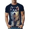 Funny Dog Print Men's Crew Neck Fashionable Short Sleeve Sports T-shirt, Comfortable And Versatile, For Summer