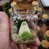 Ghosts In A Jar, Luminous Ghost Figurines With Moss The Glass Decor, In Pet Spooky In Dark A Adopt Ghost Dome Decor Glow No C9u5