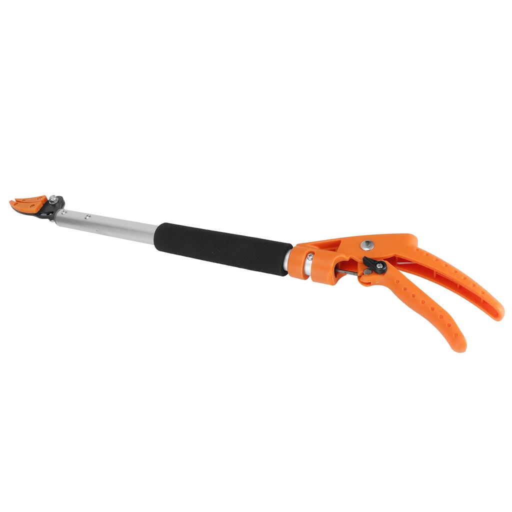 Ножницы для сбора фруктов, резак для винограда, секатор для веток персика, садовые принадлежности