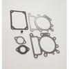 BH-Motor New Valve Gasket Set For 794152 Replaces # 690190 794114 796584 699168 692410