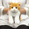SunLemon Кот на коленях Часиро Маленький 13 x 36 x 15 см Плюшевое животное Милый кот P-7822