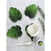 Monstera Leaf Coasters Tropical Green Plant EVA Cup Mats Washable Wipeable Anti-Slip Table Protector Holiday Wedding Party Decor