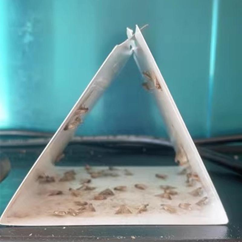 Главная Кухня и одежда Кладовая ловушки для моли с феромонами Prime Clothes Closet Moth Traps Magic Moth Catcher