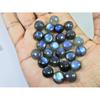 11X11MM Natural Labradorite Blue  Round Cabochon Loose Gemstone 25Pcs Lot C-1047