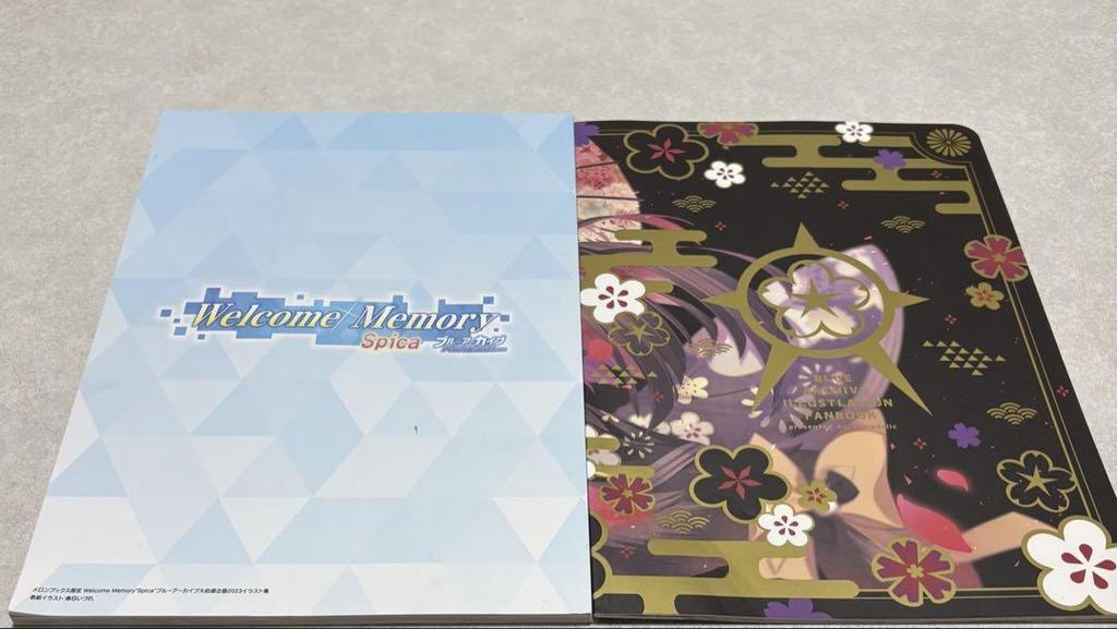 [Б/У] Использованная Пекора holoX Blue Archive Додзинси