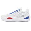 AR1 Stars & Stripes Men Sneakers White Blue Red Z323360104-040