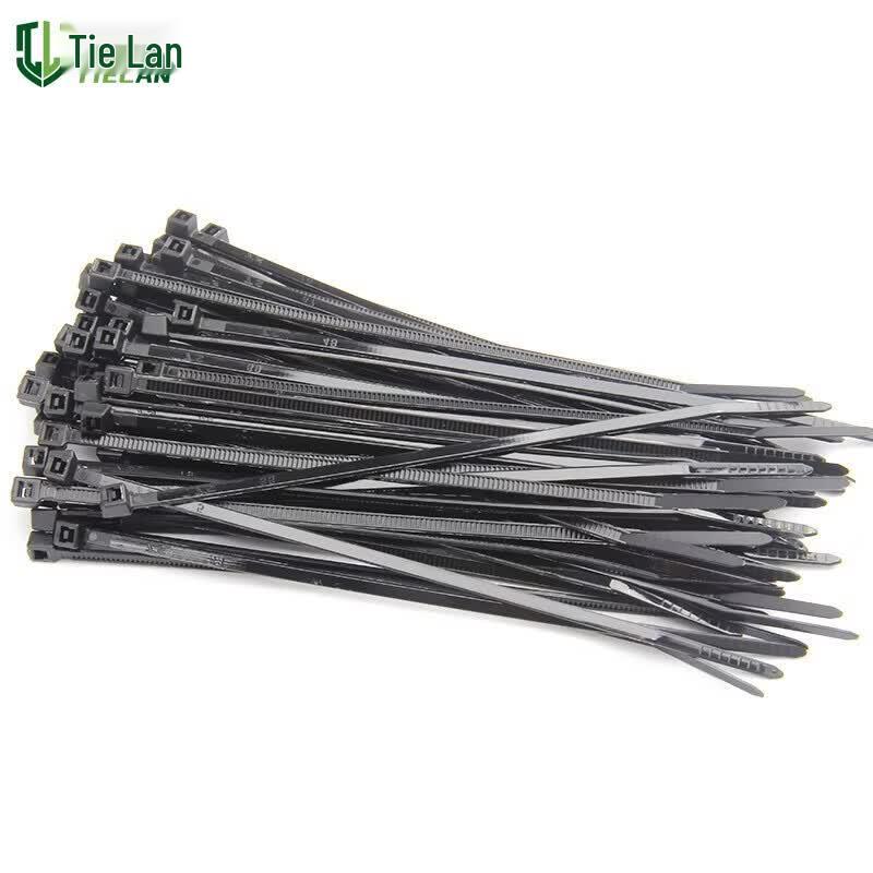 Tie Lan Colorful Nylon Cable Ties