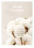 Round neck rhinestone knitted dress