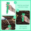 13cm Root Watering Funnel Plant Watering Devices Root Waterer Insert Device Tree Root Irrigator for Houseplants Indoor Garden
