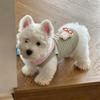 Lightweight Pet Vest With Cartoon 3D Appliqu Collar Striped Design Small Dogs Like Bichon Teddy