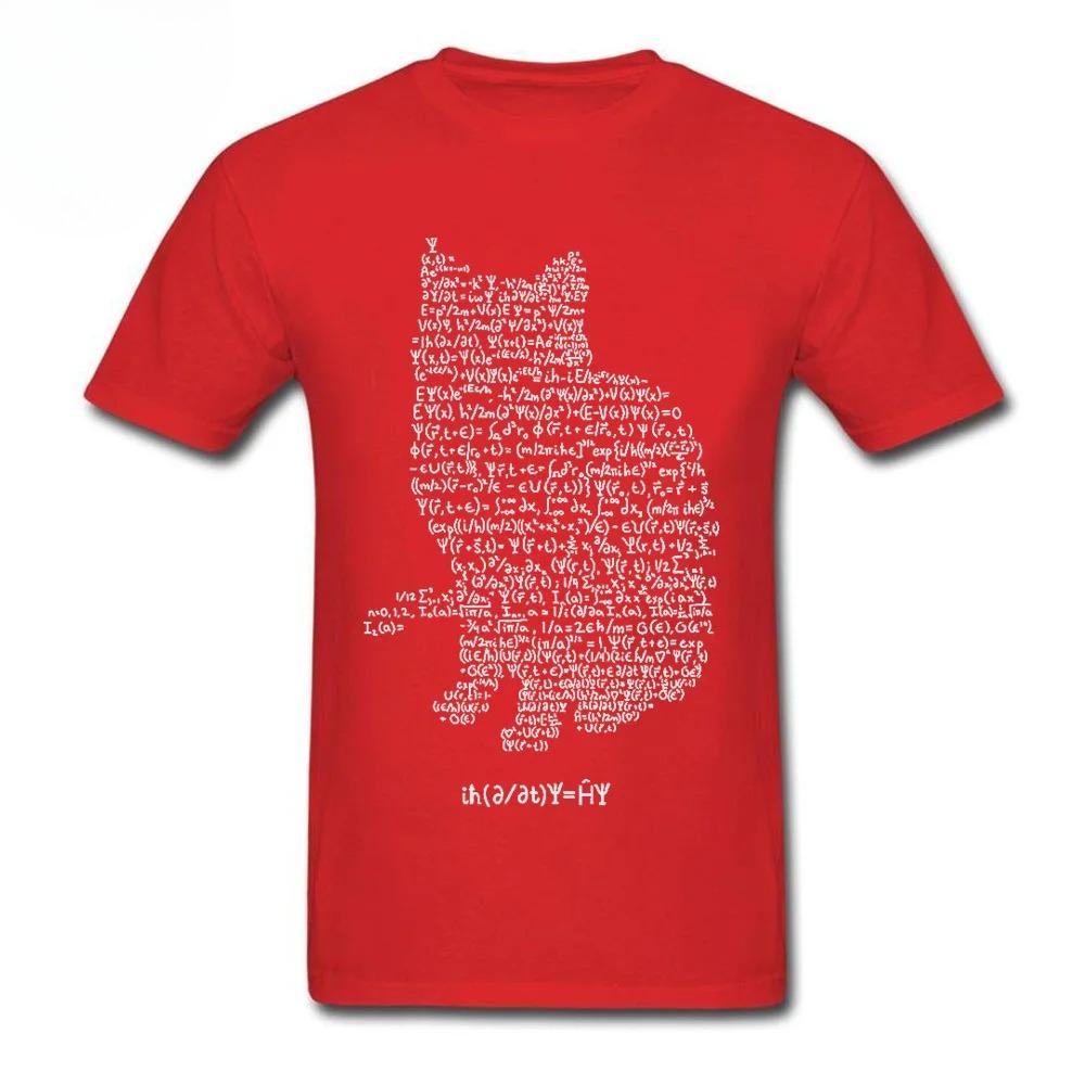 Maxwells Cat Quantum Mechanics Equations Theory Tshirt Physics And Mathematics Fun Mathematical Cat Tshirt For Unisex Y2k