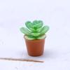 Мини-симуляция суккулентного растения в горшке, эльфийский сад, садоводство, микроландшафт, цветочные украшения, миниатюрная зеленая модель растения