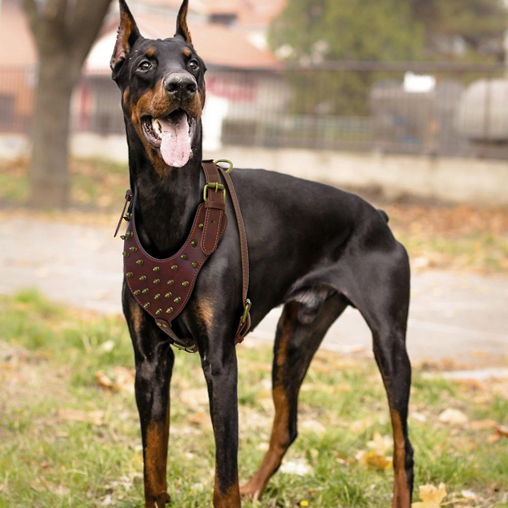 Прочная шлейка для собак с шипами, шлейки из натуральной кожи для больших собак, жилет для дрессировки домашних животных, большие собаки, лабрадор, бульдог