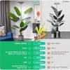 Adjustable Full-Spectrum Plant Grow Light: Perfect for Indoor Plants - USB Powered