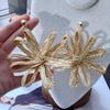 Zinc Zinc Alloy Straw Woven Earrings Elegant Hollow Floral Earrings Exaggerated Flower Ear Studs  Vacation