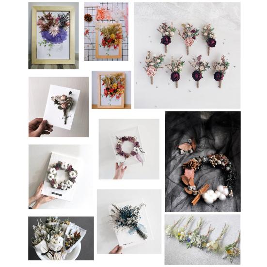 Real Dried Flower Material Plant Specimen Making Scrapbook Crafts Accessories