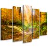 Five Piece Picture Canvas Print Forest Autumn Nature