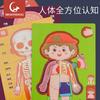 Детская познавательная модель человеческого тела, головоломка по структуре тела, изображение органа, научное учебное пособие, раннее образование, развивающие игрушки