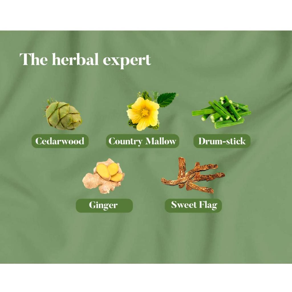 Himalaya Обезболивающее масло 100 мл Натуральное массажное масло для дискомфорта в теле Расслабляющее мышечное средство Снятие стресса Согревающая терапия Комфортный уход