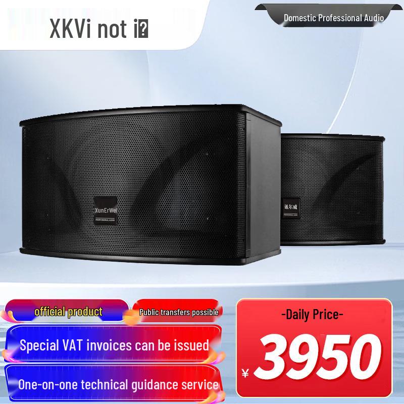 Xun'erwei Профессиональные аудио- и видеорешения (Китайская версия)