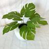 Monstera Deliciosa Faux Plant With 7fork Zebra And Turtles Leaves For Wedding Decor And Wall Art