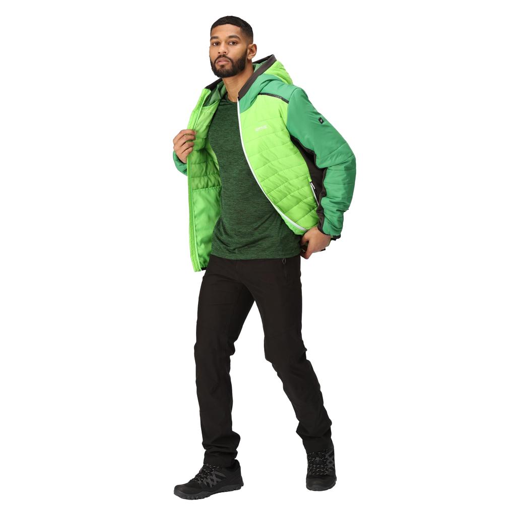 Regatta Мужская стеганая куртка Trutton II с перегородками