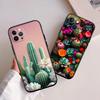 RA33 Watercolour Cacti Succulent New High-End Shell Phone Case for iPhone 16 15 14 13 12 Pro Max Plus Mini