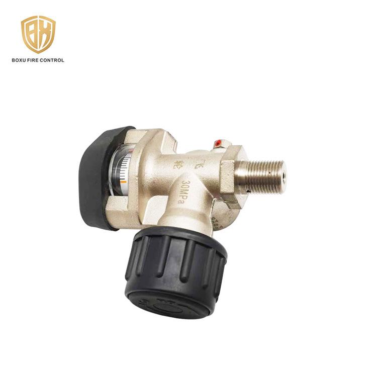 Side-Opening Self-Locking Double Gauge Cylinder Head Valve (Nickel-Plated) - Accessories Manufacturer