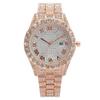 Hot Sale Gypsy Fashion Roman Pattern Full Diamond Women's Watch Women's Watch