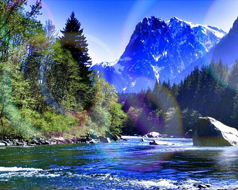 5D алмазная живопись кролик пейзаж весна полная квадратная дрель горный хрусталь Алмазная вышивка собака животные цветы вышивка крестиком мозаика домашний декор