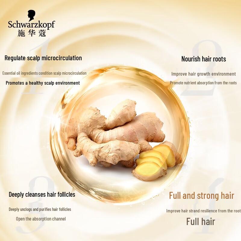 Schwarzkopf Ginger Essence Shampoo & Conditioner Set, Oil Control