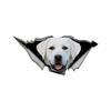 3D White Labrador Car Sticker, Fun Waterproof Sticker for Cars, Trucks, Motorcycles, Walls, Windows, PVC Material