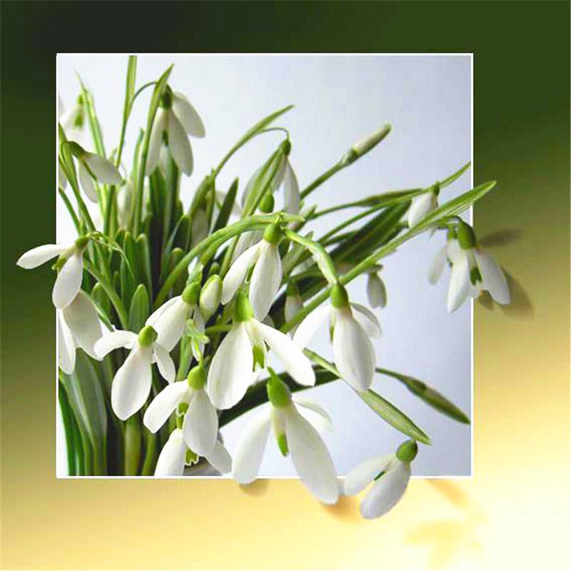 Новое поступление Алмазная картина Роза полная круглая дрель Алмазная вышивка распродажа цветок вышивка крестиком домашний декор ремесленный комплект