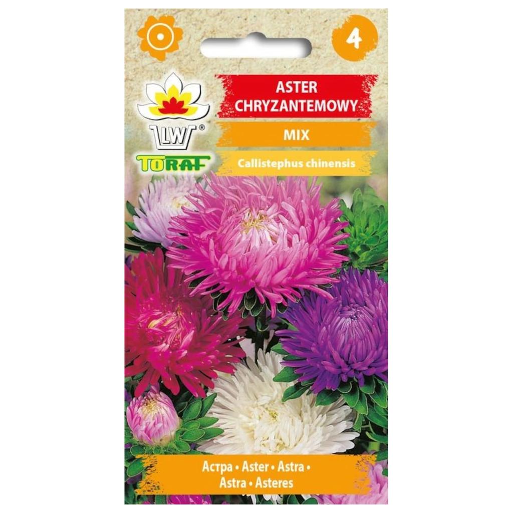 Chrysanthemum aster MIX 1g