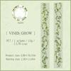 25mm*2m PET Tapes Garden Path DIY Scrapbooking Decor Photo Album Collage Junk Journal Materials Aesthetics Stickers