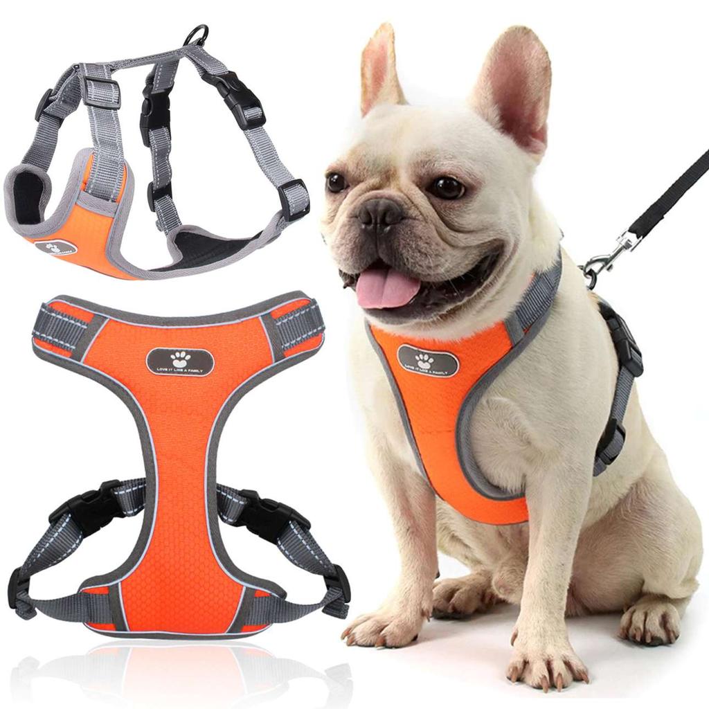 ASTRO orange training harness for walking dogs, size