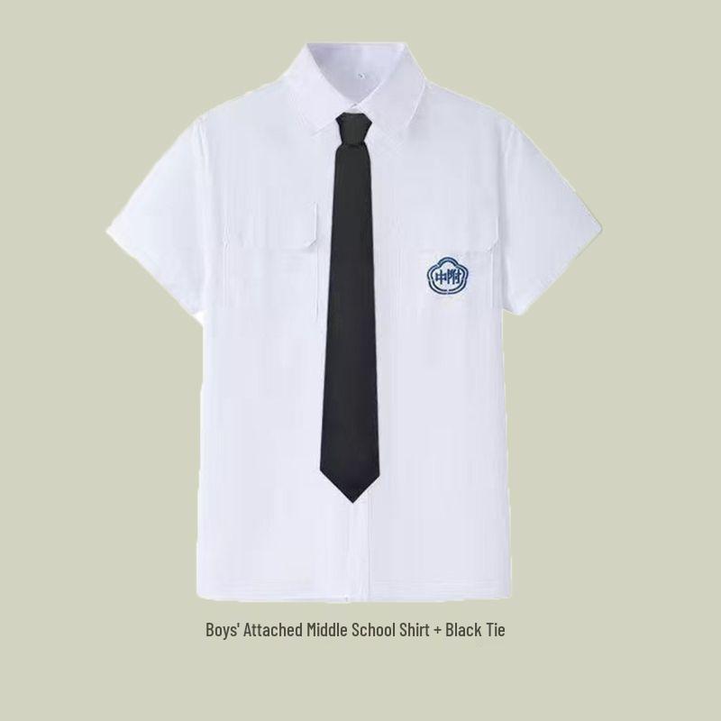 Taiwan JK School Uniform Set: White Shirt & Accordion Pleat Skirt, College Style for Summer Graduation