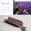 Lavender Natural Dried Flower Granules Bulk Filling Sachets for Pillows, Car, Wardrobe, Sleep Fragrance, 5A Grade