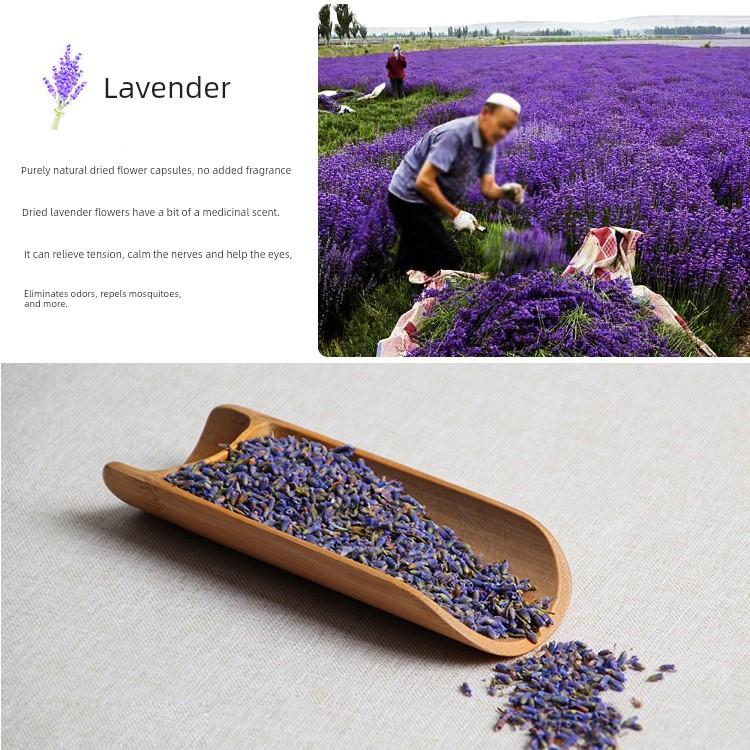 Lavender Natural Dried Flower Granules Bulk Filling Sachets for Pillows, Car, Wardrobe, Sleep Fragrance, 5A Grade