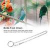 Stainless Steel Pet Birds Parrot Foot Chain Anklet Training Harness  (Psittacula eupatria)