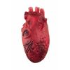 Bloody Fake Heart - PTIT CLOWN - 21900 - Halloween Decoration - Plastic - Red