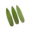 100Pcs Sushi Bamboo Leaves Sashimi Dish Leaf Ornament Home Decor Serving Disposable Plates Artificial Fake Grass
