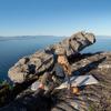 Сверхлегкий самонадувающийся туристический коврик Naturehike