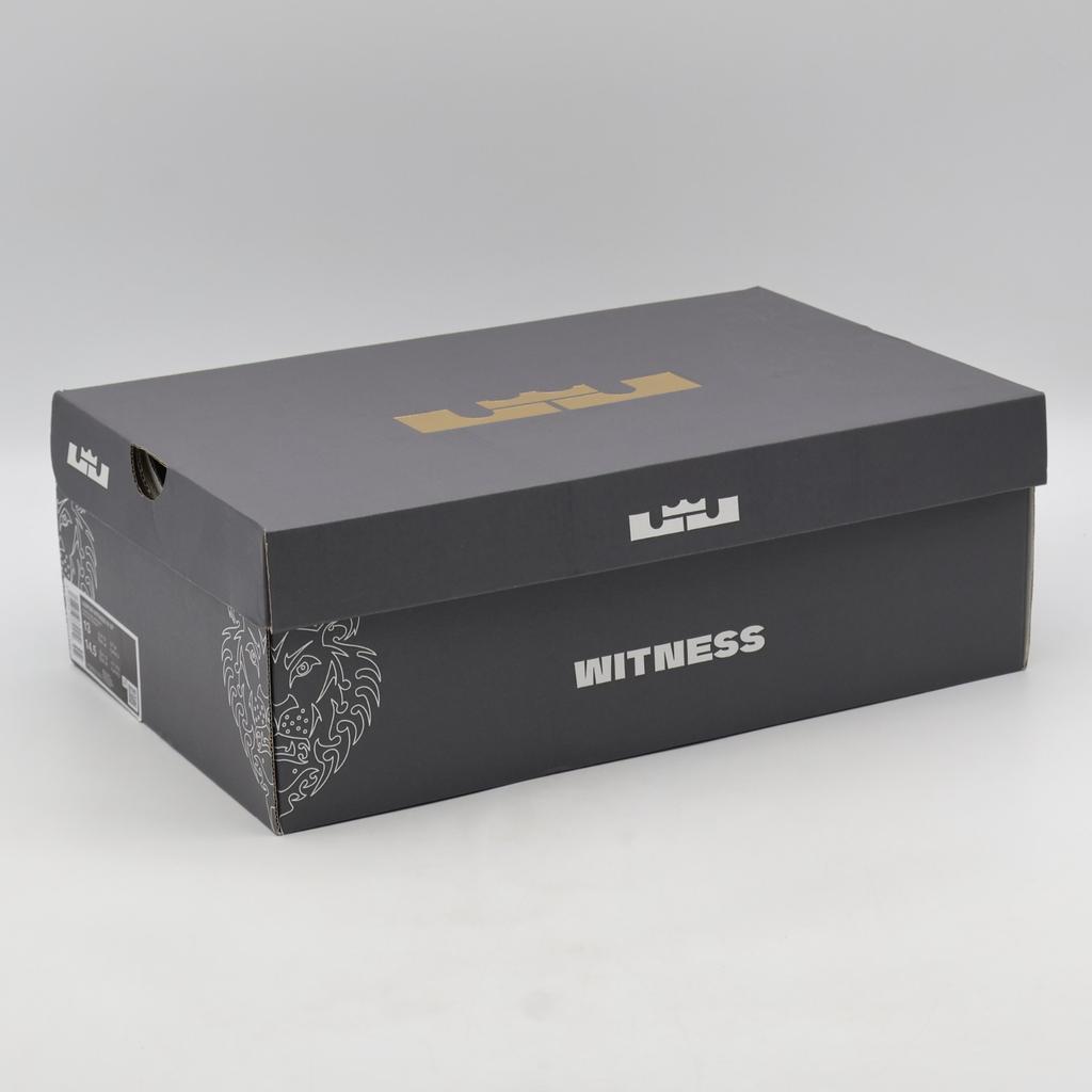 HQ8035-003 Nike LeBron Witness IX EP Черный Железно-серый (Мужской)