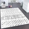 Washable Printed Carpet RVGHOME0135-SD1170
