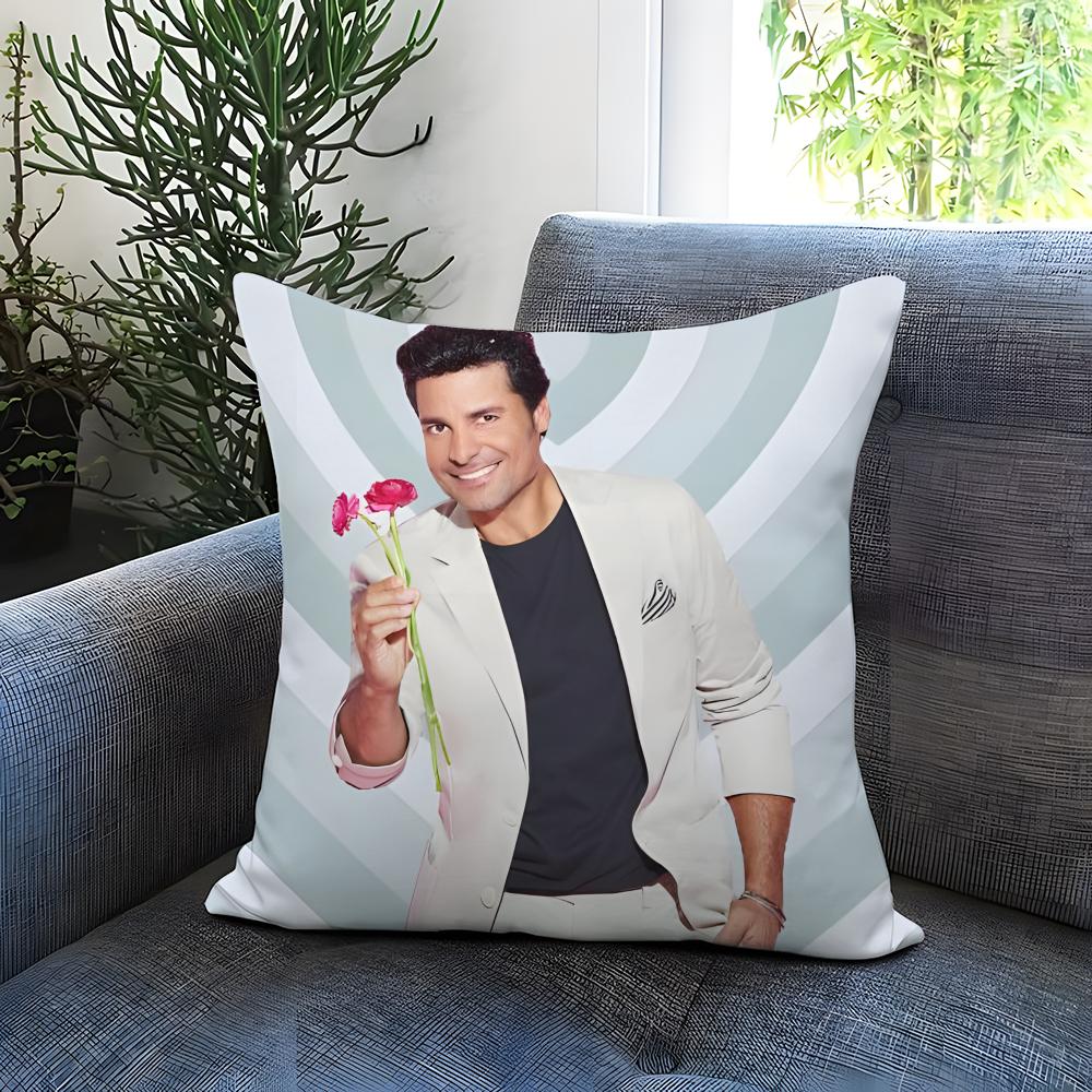 Trendy Cchayanneing Cushion Cover Comfortable Reversible Pillow Cover Ideal for Car Sofa Bedroom Beyond